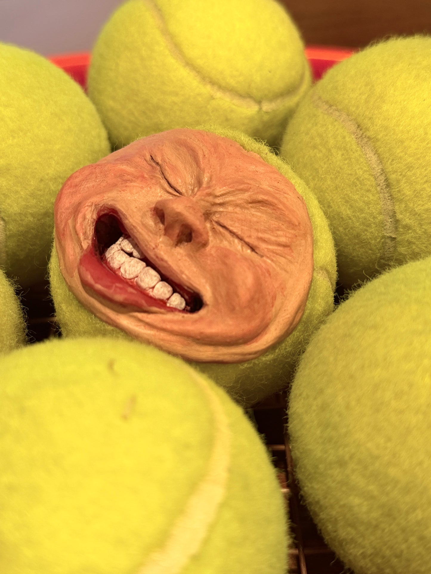 Wilson 2