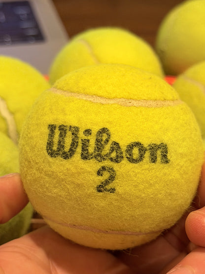 Wilson 2