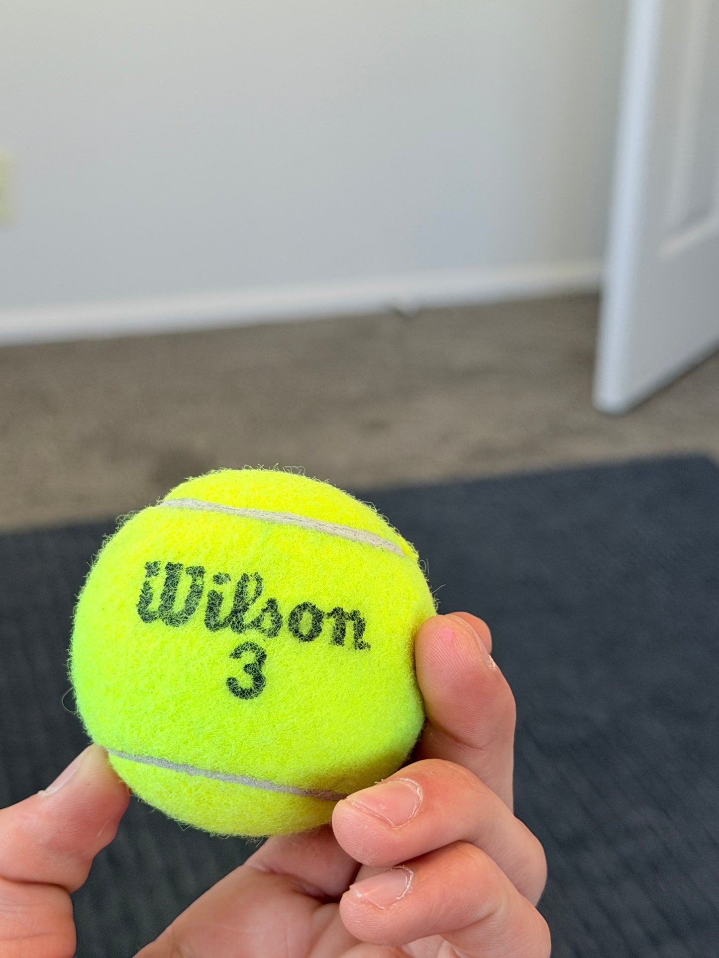 WILSON 3